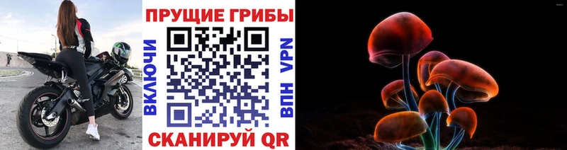 Галлюциногенные грибы GOLDEN TEACHER  Купить закладки  Суздаль 